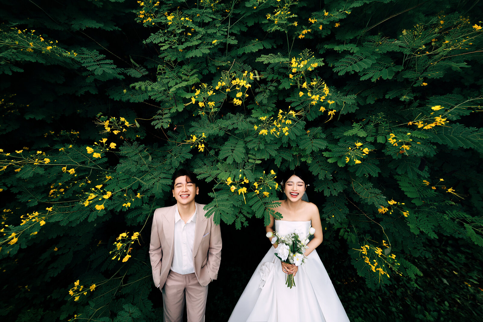 Công Viên ĐHYD (bình minh & hoàng hôn đều đẹp) — ảnh 4