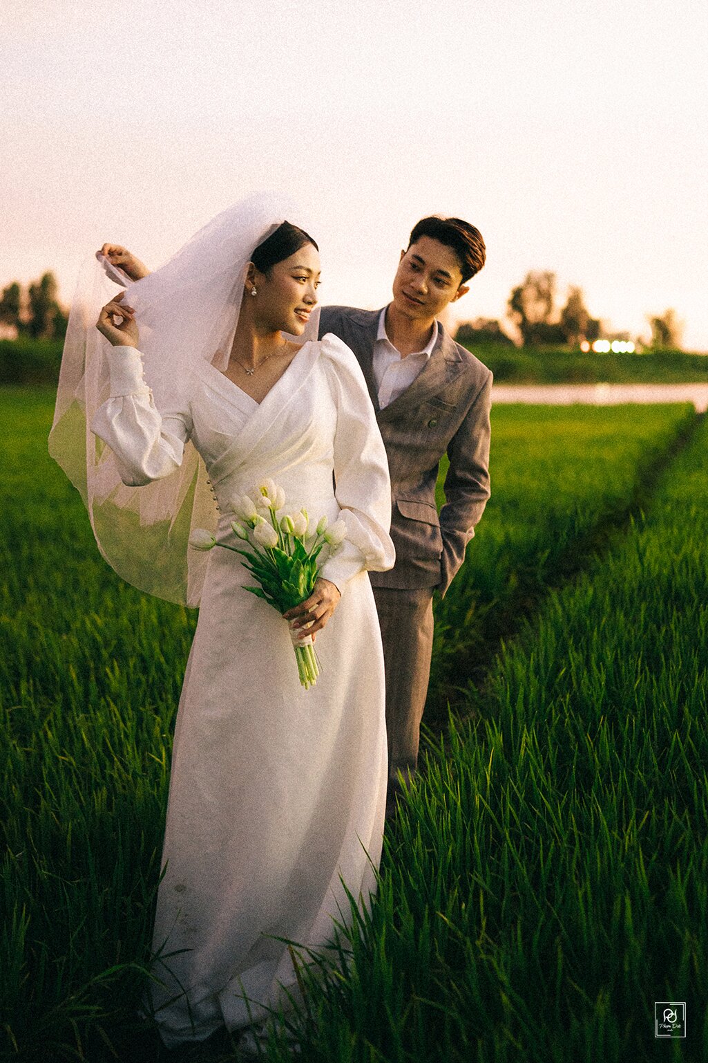 Cánh Đồng – Chiều Hoàng Hôn — ảnh 5