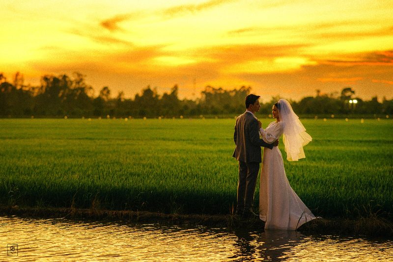 Cánh Đồng – Chiều Hoàng Hôn — ảnh 8