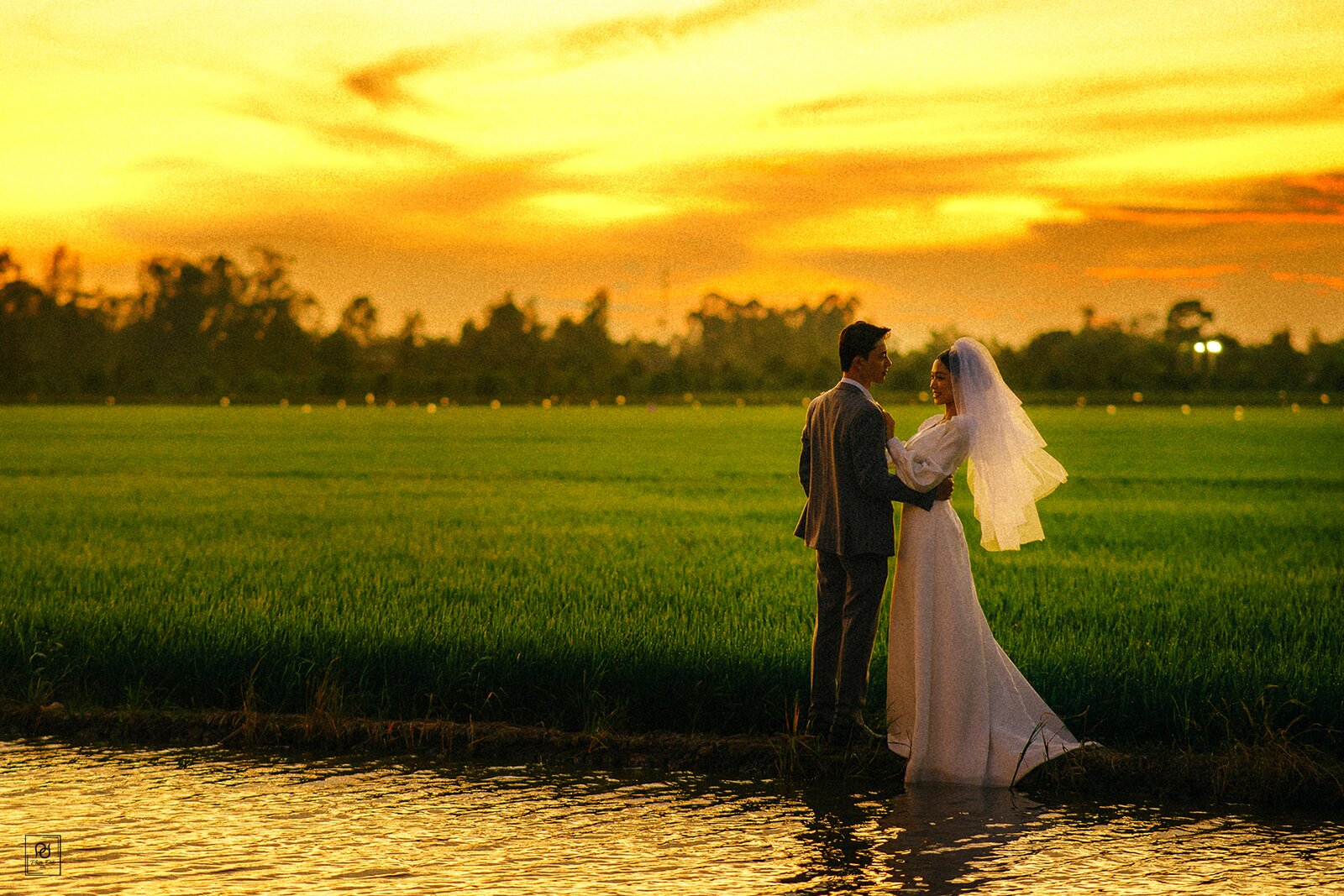 Cánh Đồng – Chiều Hoàng Hôn — ảnh 8